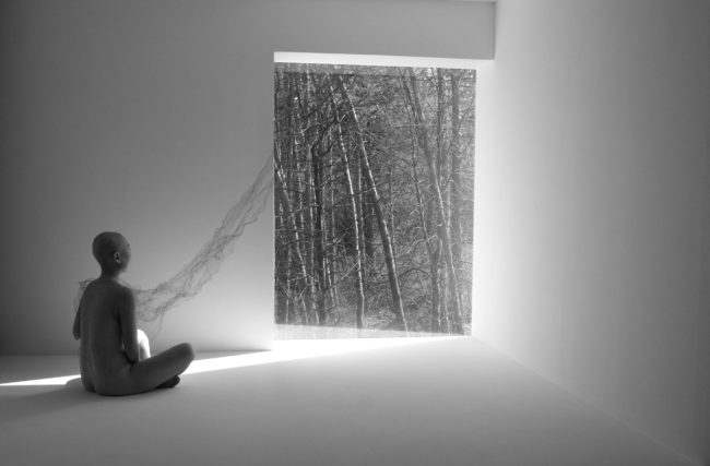 Jayoung Yoon, Watching the Mind, 2009